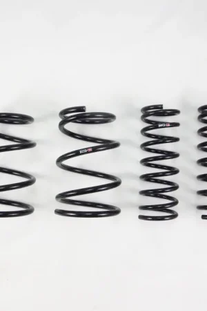 High Quality RS-R 15-17 Subaru Outback 2.5(BS9) Down Sus Springs