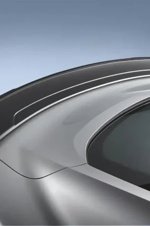 Ford Racing 15-23 Mustang Track Pack Rear Spoiler Viral