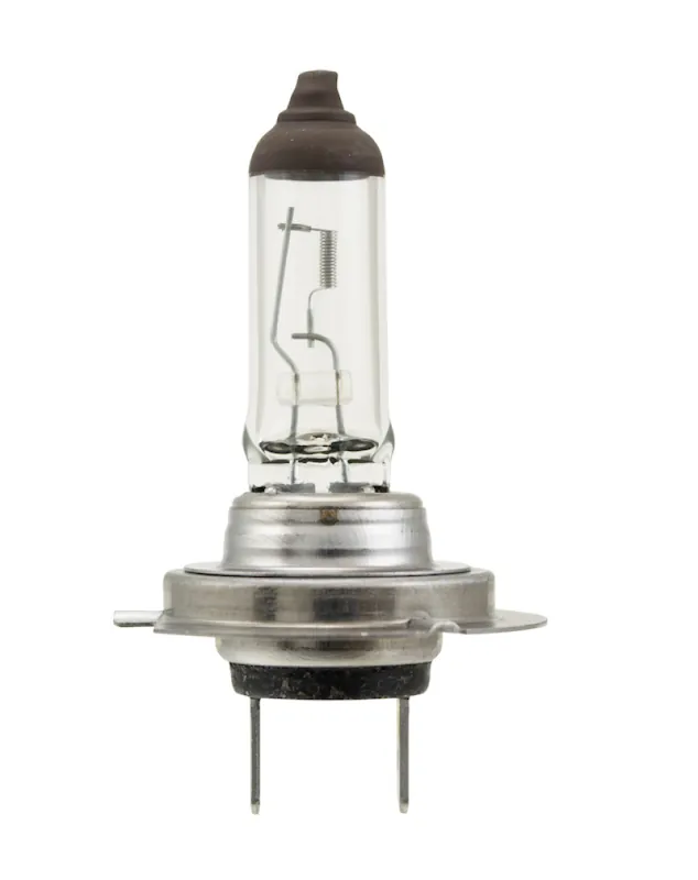 New Arrival HELLA Halogen Bulb