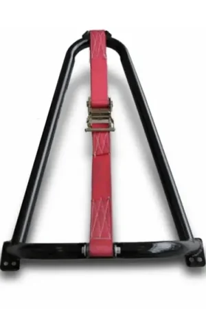 Must Have NFB Bed Mounted Tire Carrier